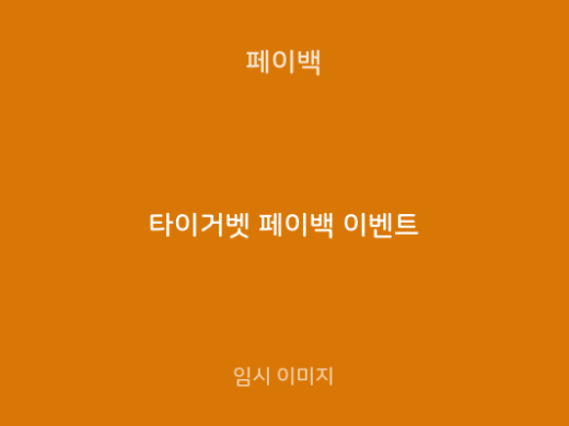 타이거벳 페이백 이벤트